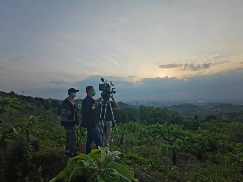 创意破圈！汉台区电商产品宣传视频用故事化叙事引爆流量