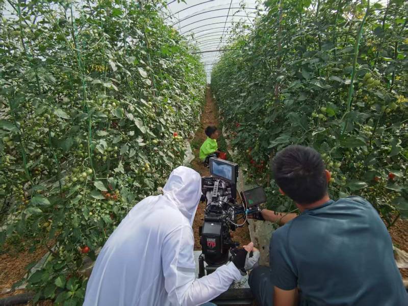 汉台区产品宣传视频拍摄公司进阶指南，助力品牌抢占传播高地